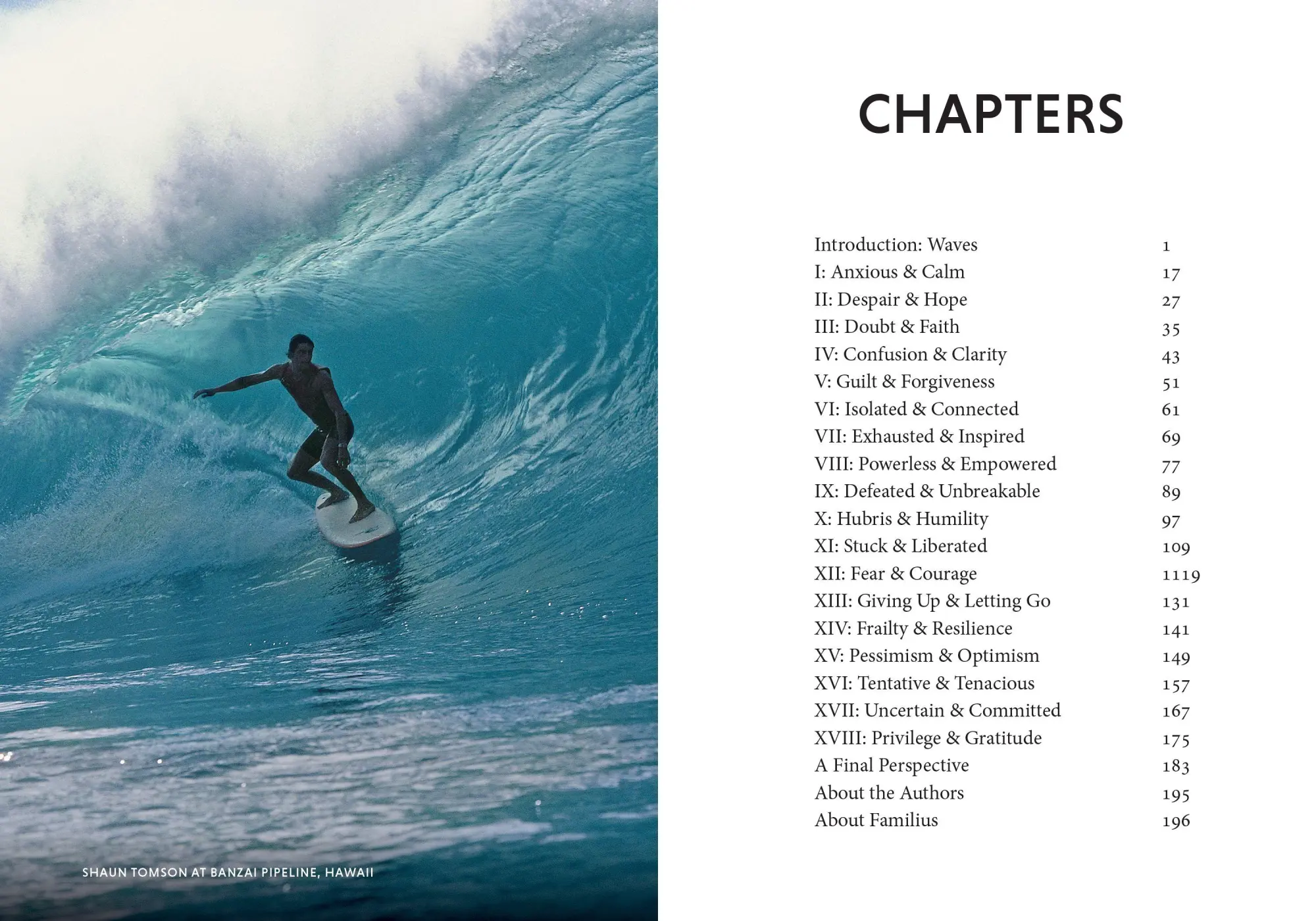 Bild: 9781641706551 | The Surfer and the Sage | A Guide to Survive and Ride Life's Waves