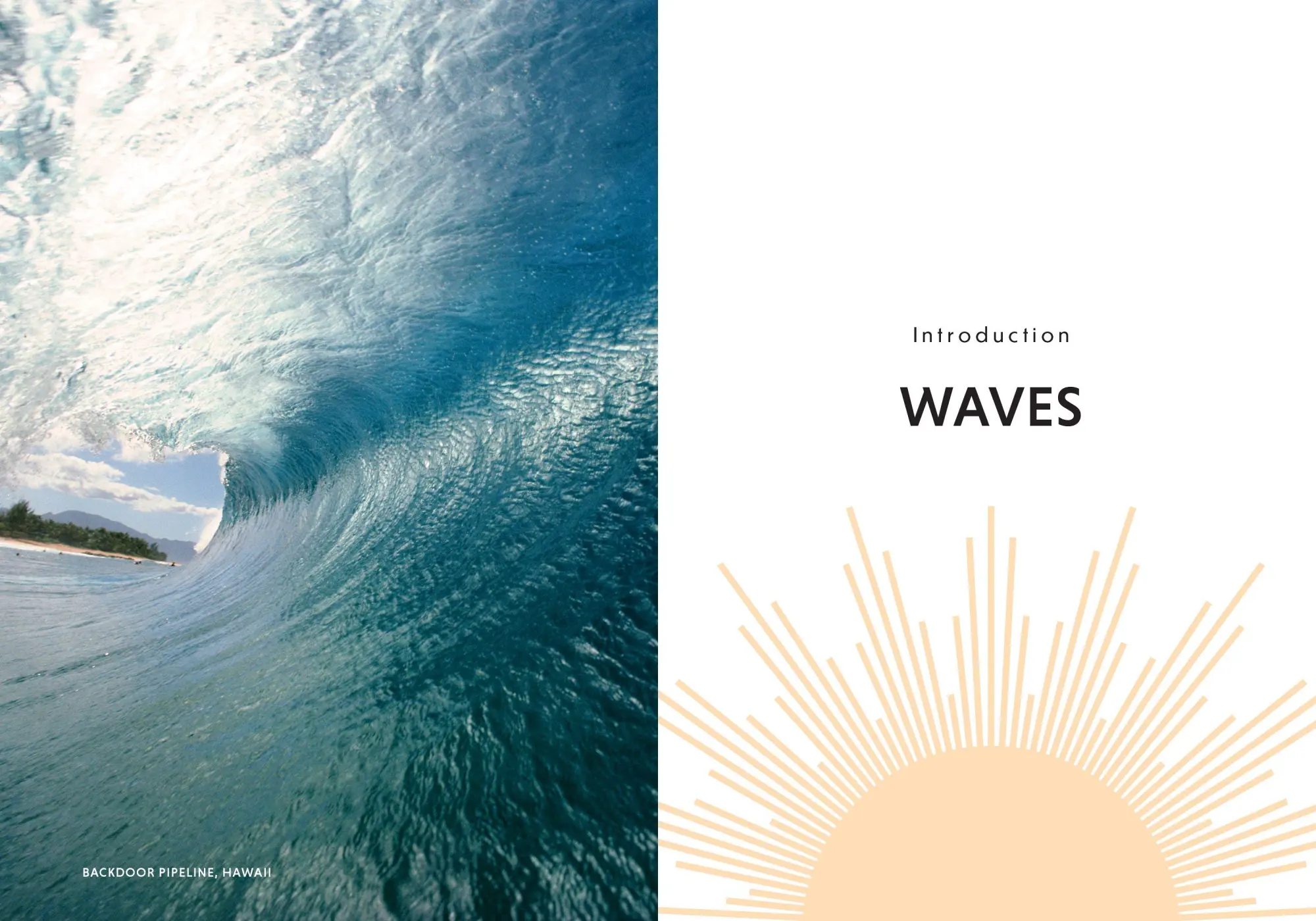Bild: 9781641706551 | The Surfer and the Sage | A Guide to Survive and Ride Life's Waves