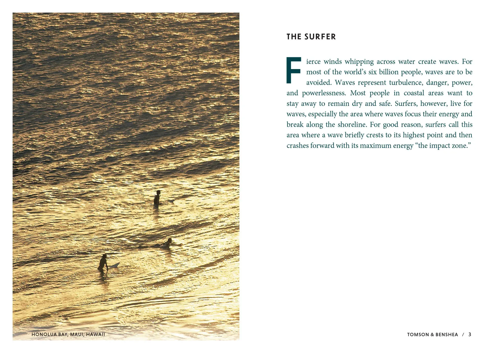 Bild: 9781641706551 | The Surfer and the Sage | A Guide to Survive and Ride Life's Waves