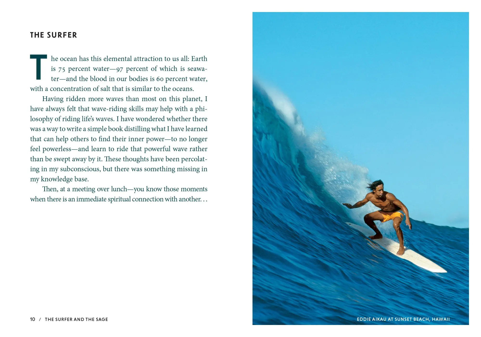 Bild: 9781641706551 | The Surfer and the Sage | A Guide to Survive and Ride Life's Waves