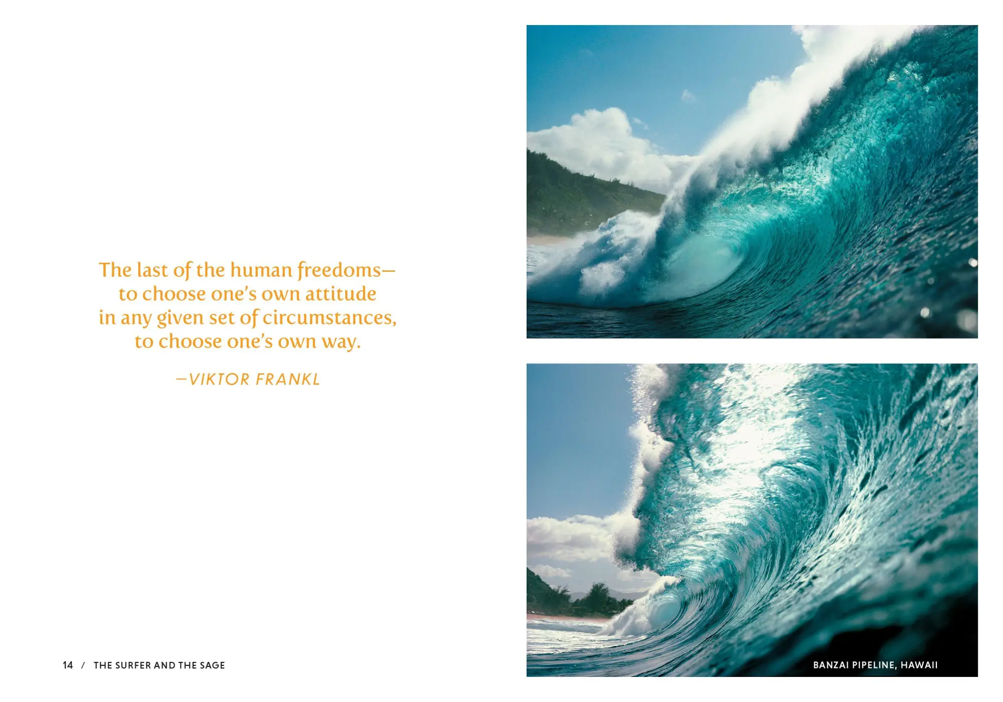 Bild: 9781641706551 | The Surfer and the Sage | A Guide to Survive and Ride Life's Waves
