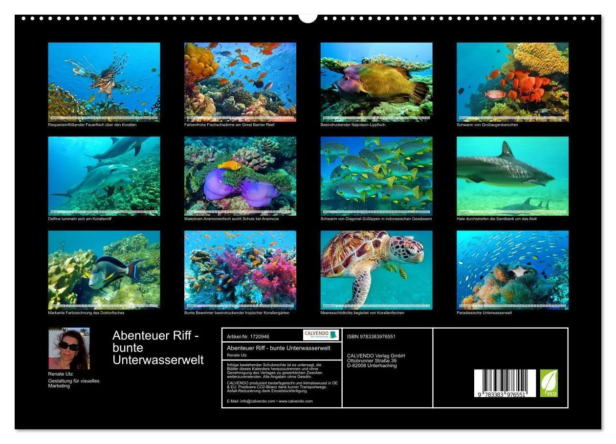 Bild: 9783383976551 | Abenteuer Riff - bunte Unterwasserwelt (hochwertiger Premium...