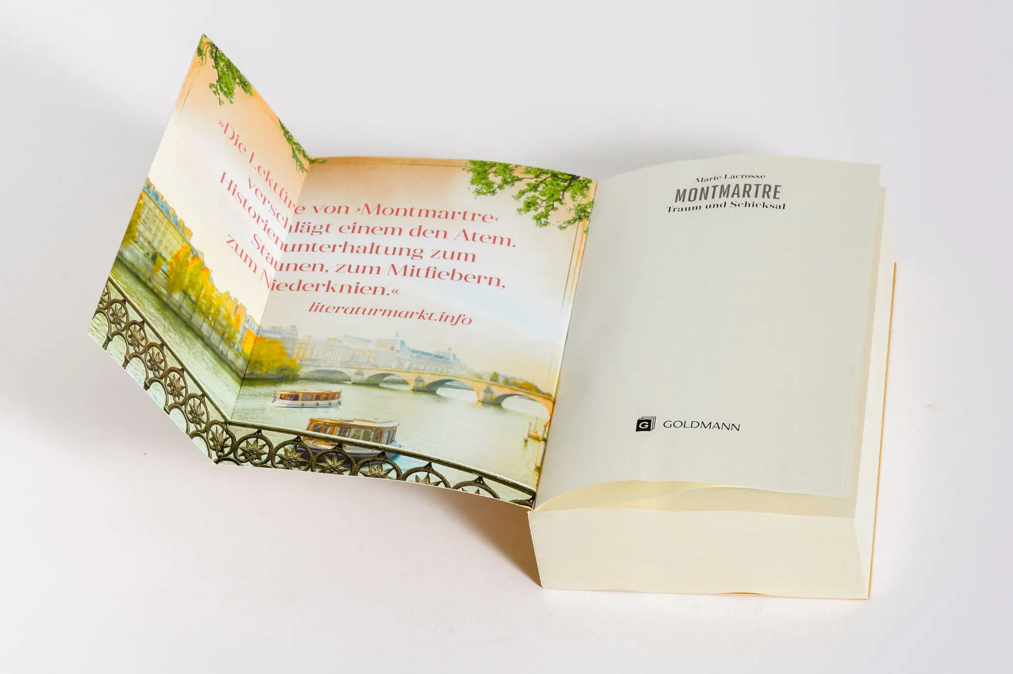 Bild: 9783442206551 | Montmartre - Traum und Schicksal | Roman | Marie Lacrosse | Buch
