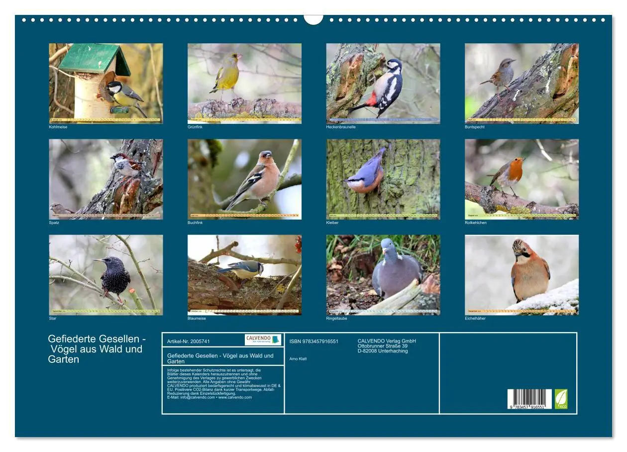 Bild: 9783457916551 | Gefiederte Gesellen - Vögel aus Wald und Garten (Wandkalender 2026...