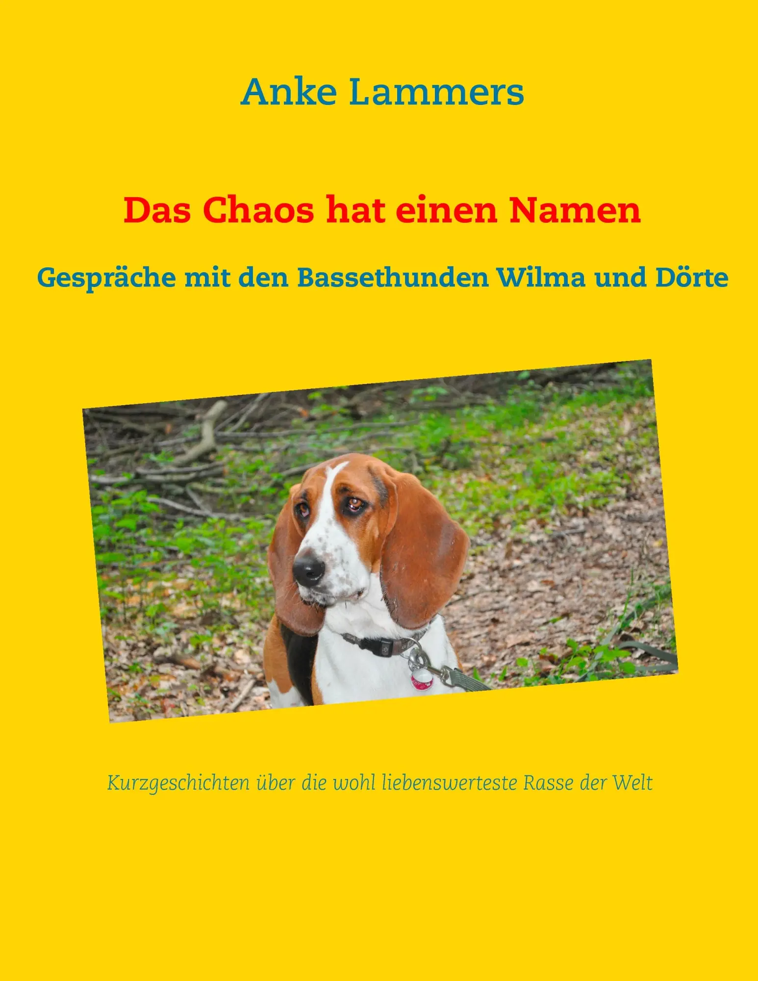Cover: 9783734736551 | Das Chaos hat einen Namen | Anke Lammers | Taschenbuch | 248 S. | 2014