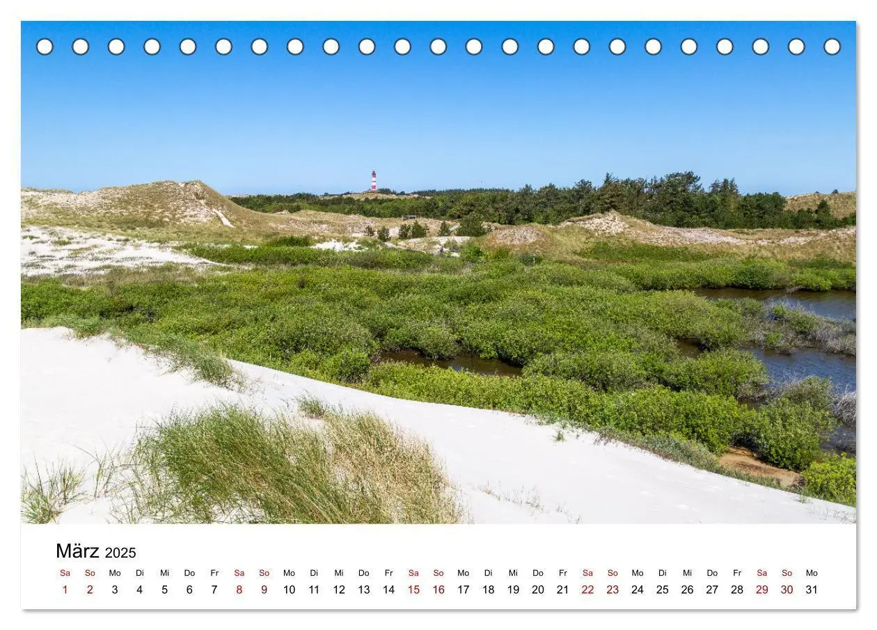 Bild: 9783383896651 | Amrum - Das Paradies in der Nordsee (Tischkalender 2025 DIN A5...