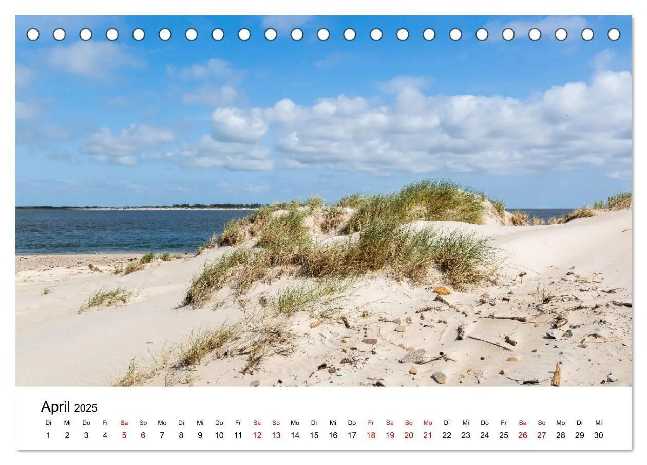 Bild: 9783383896651 | Amrum - Das Paradies in der Nordsee (Tischkalender 2025 DIN A5...