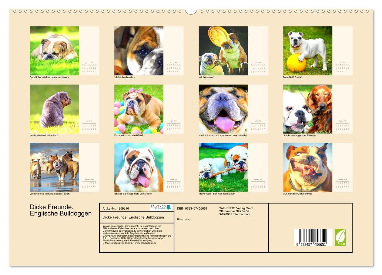 Bild: 9783457456651 | Dicke Freunde. Englische Bulldoggen (hochwertiger Premium...