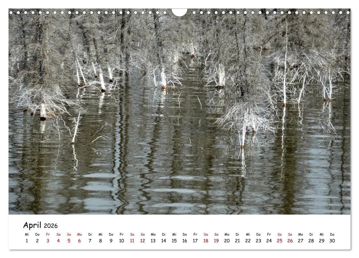 Bild: 9783457906651 | Unendlichkeit in Alaska und Yukon (Wandkalender 2026 DIN A3 quer),...