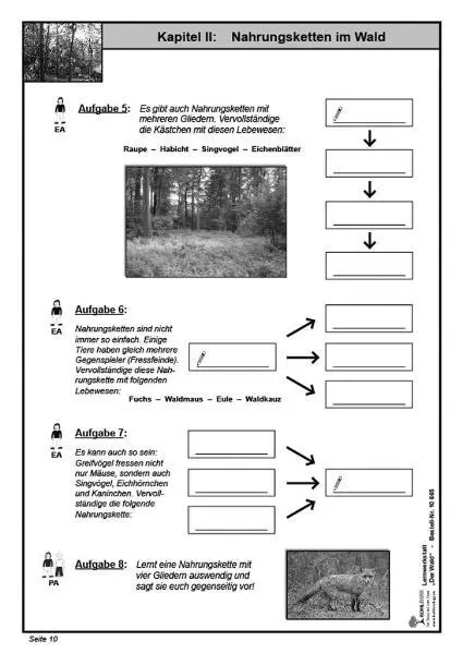 Bild: 9783866326651 | Lernwerkstatt - Der Wald | Wolfgang Wertenbroch | Broschüre | 48 S.