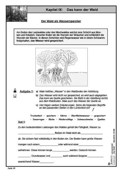 Bild: 9783866326651 | Lernwerkstatt - Der Wald | Wolfgang Wertenbroch | Broschüre | 48 S.