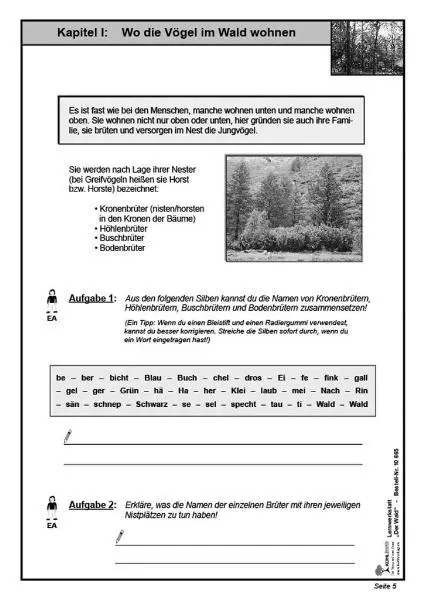 Bild: 9783866326651 | Lernwerkstatt - Der Wald | Wolfgang Wertenbroch | Broschüre | 48 S.