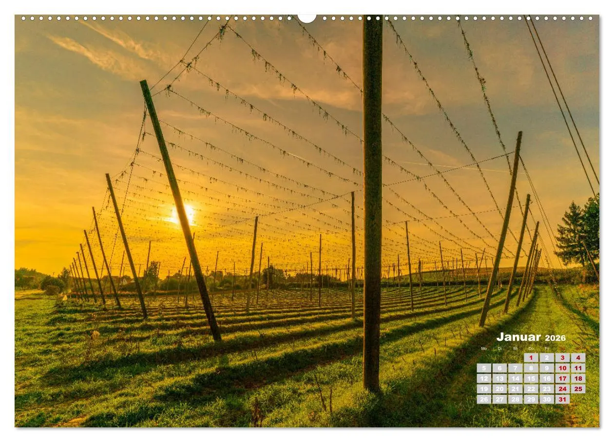 Bild: 9783457686751 | Hopfenland Holledau (hochwertiger Premium Wandkalender 2026 DIN A2...