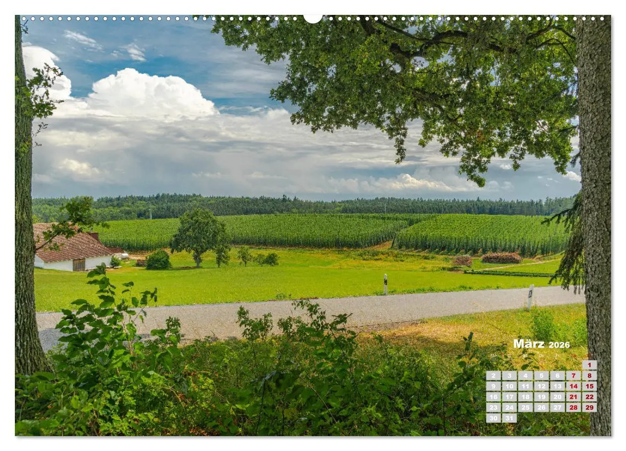 Bild: 9783457686751 | Hopfenland Holledau (hochwertiger Premium Wandkalender 2026 DIN A2...