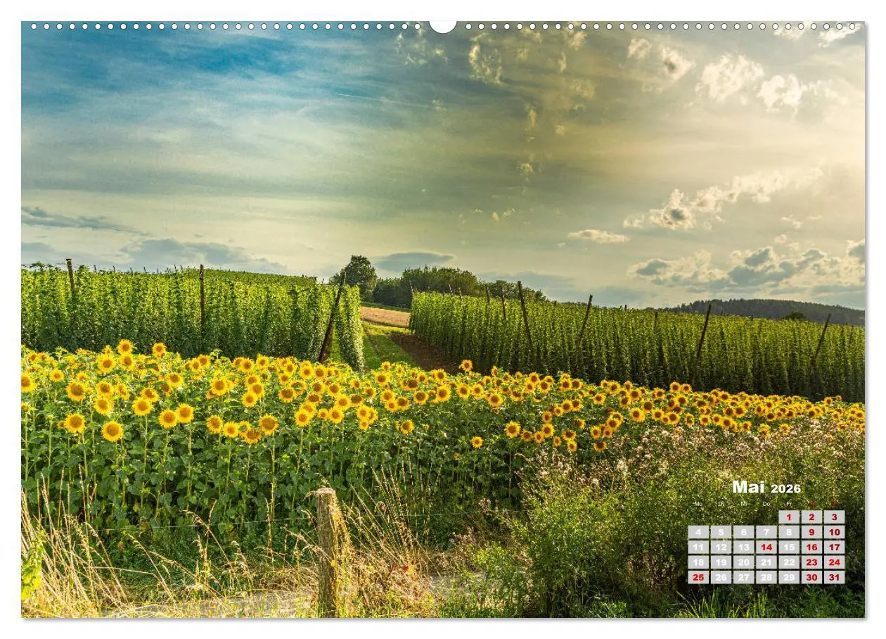 Bild: 9783457686751 | Hopfenland Holledau (hochwertiger Premium Wandkalender 2026 DIN A2...