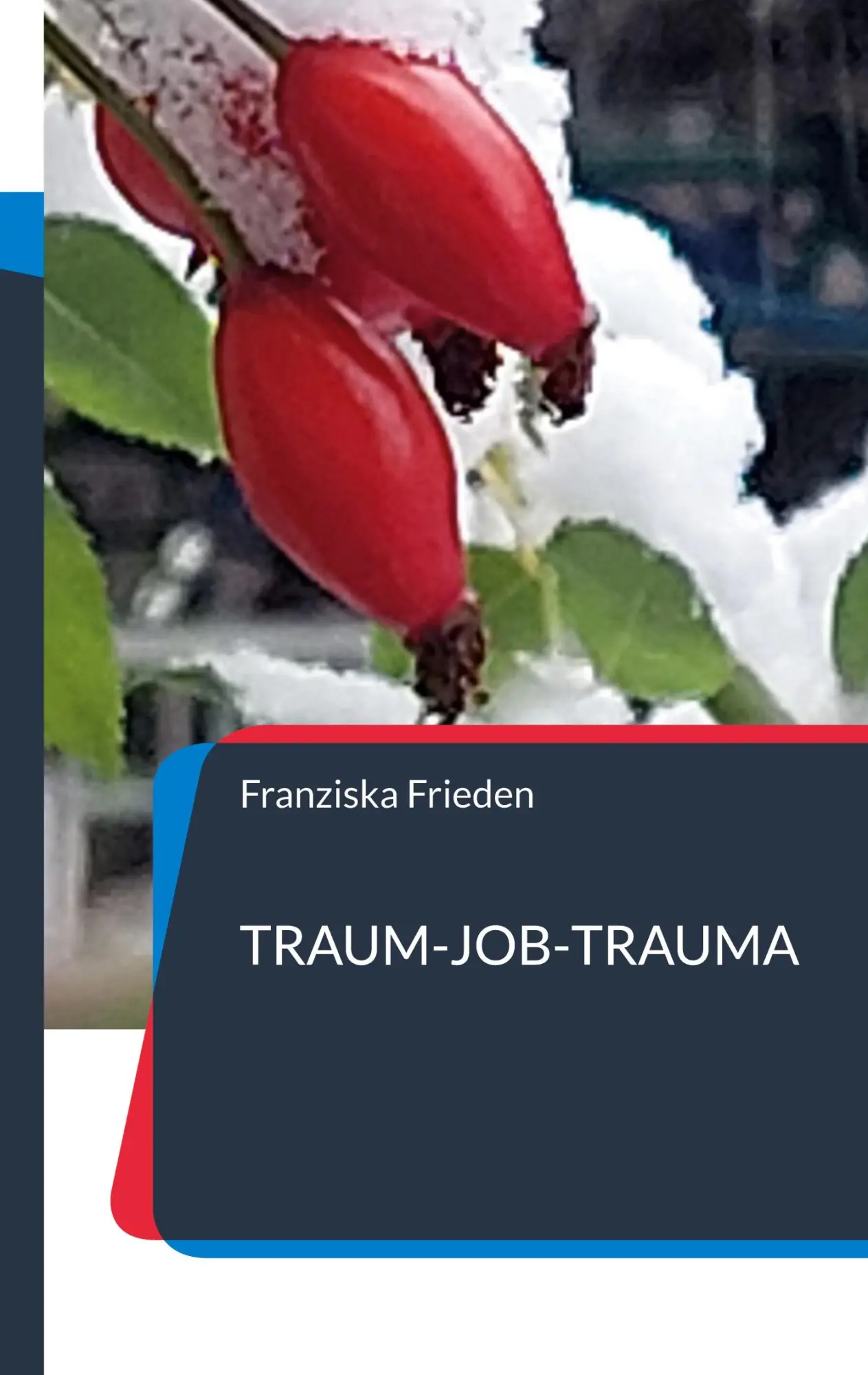 Cover: 9783734716751 | "Traum-Job-Trauma" | Berufsbiografie einer Pflegefachfrau | Frieden