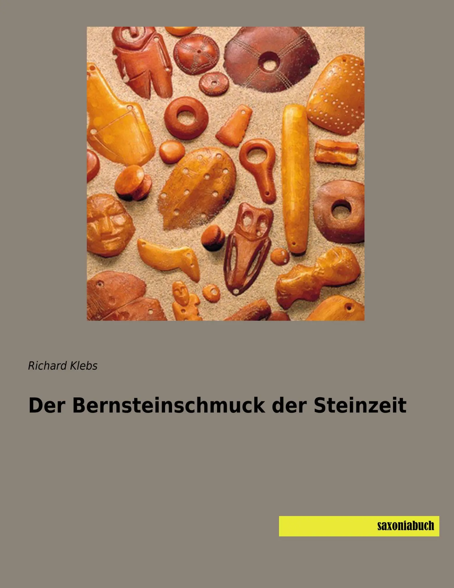 Cover: 9783957706751 | Der Bernsteinschmuck der Steinzeit | Richard Klebs | Taschenbuch