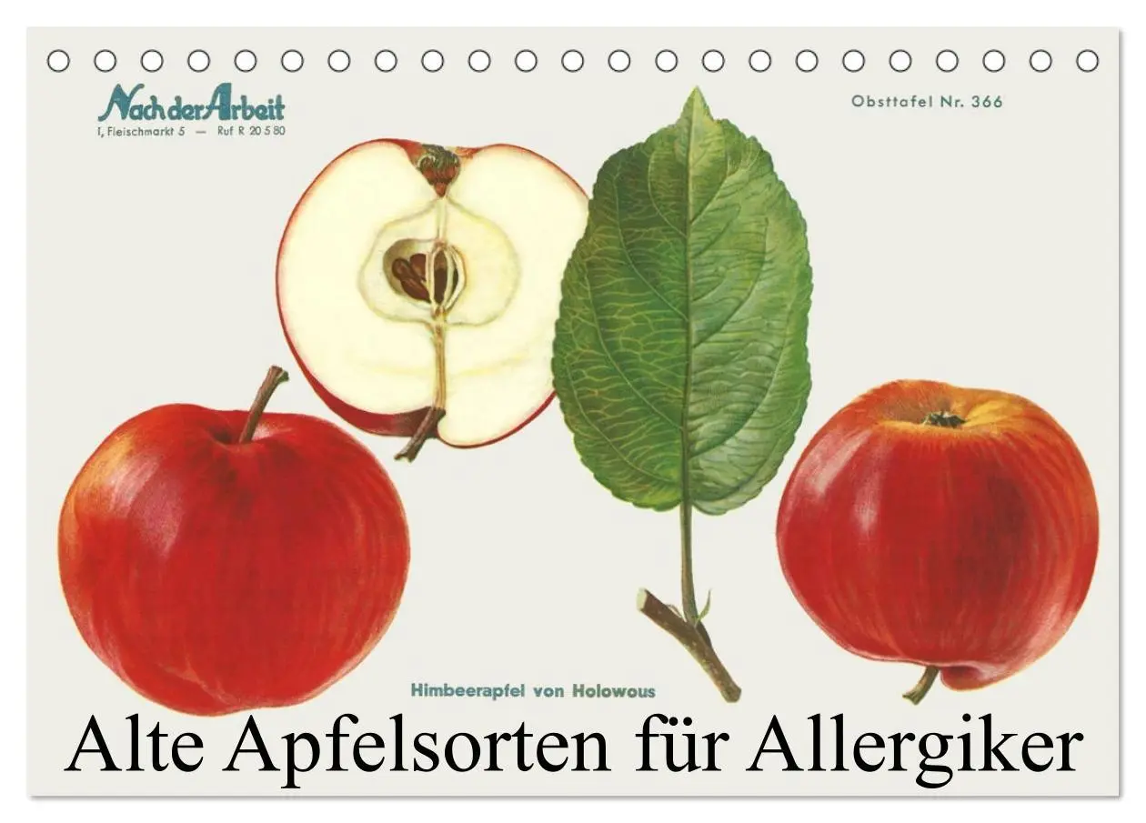 Cover: 9783383946851 | Alte Apfelsorten für Allergiker (Tischkalender 2025 DIN A5 quer),...