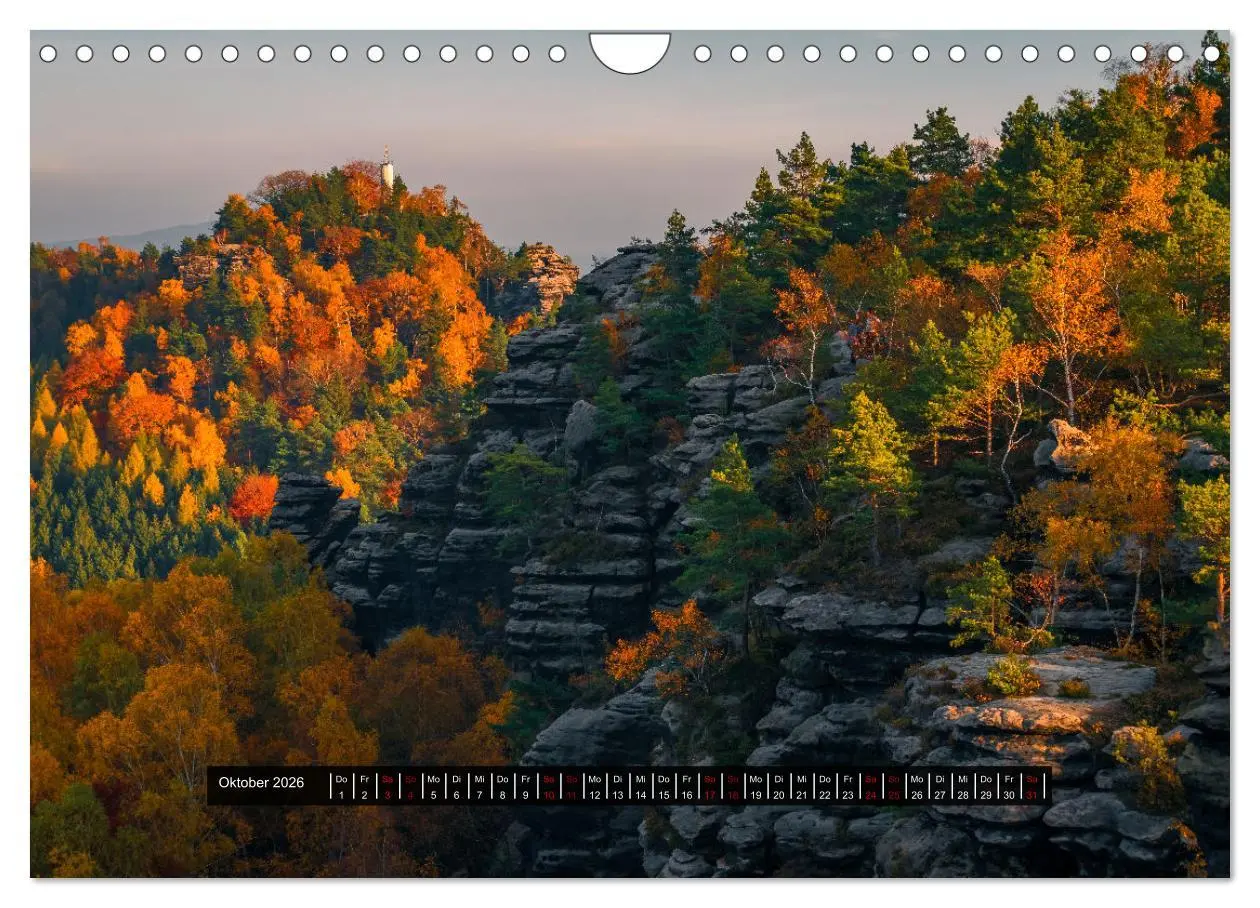 Bild: 9783457366851 | Naturparadies Sächsische Schweiz (Wandkalender 2026 DIN A4 quer),...