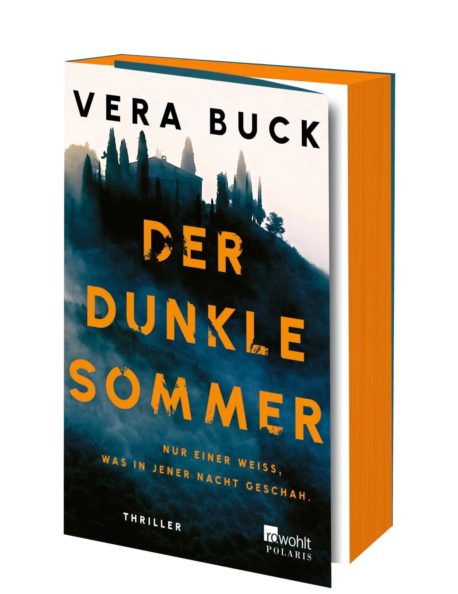 Cover: 9783499016851 | Der dunkle Sommer | Vera Buck | Taschenbuch | 384 S. | Deutsch | 2025
