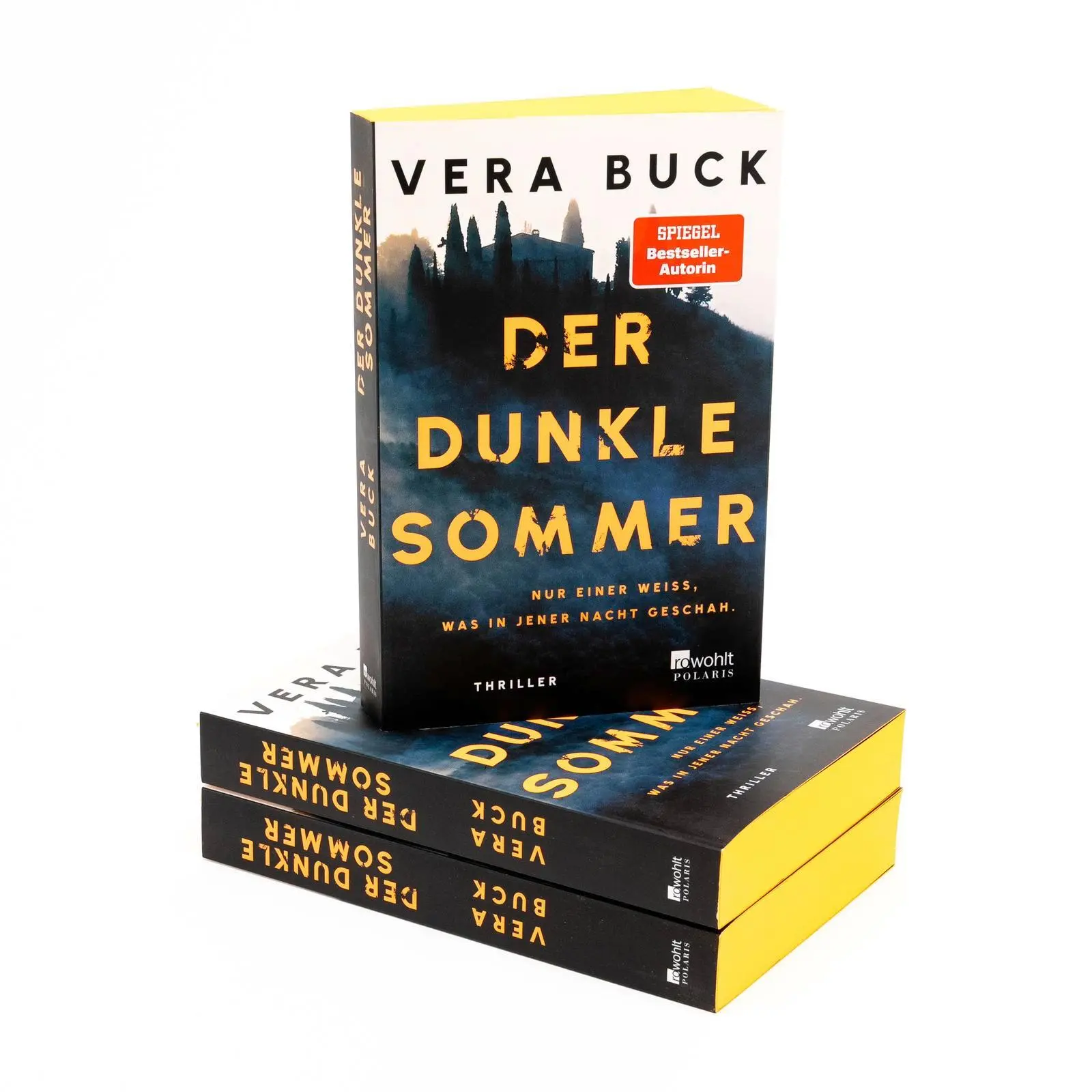 Bild: 9783499016851 | Der dunkle Sommer | Vera Buck | Taschenbuch | 384 S. | Deutsch | 2025