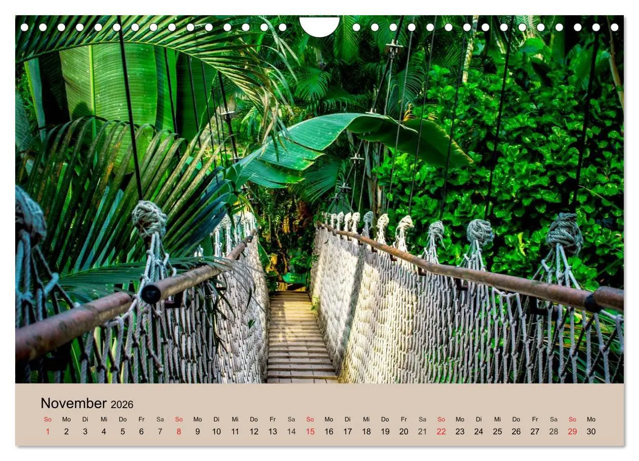 Bild: 9783516146851 | Brasilien. Impressionen (Wandkalender 2026 DIN A4 quer), CALVENDO...