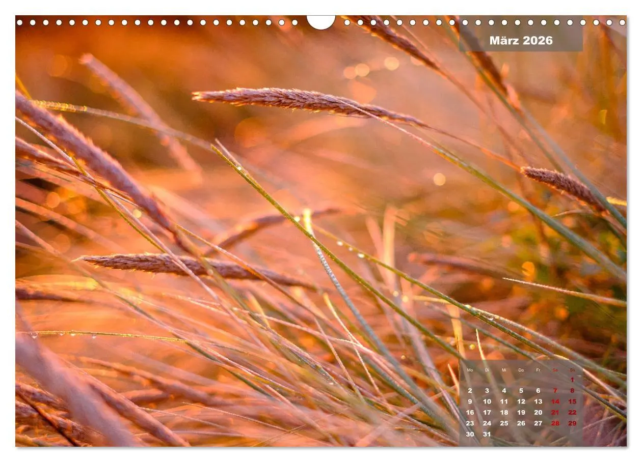 Bild: 9783457596951 | feeling Sylt (Wandkalender 2026 DIN A3 quer), CALVENDO Monatskalender