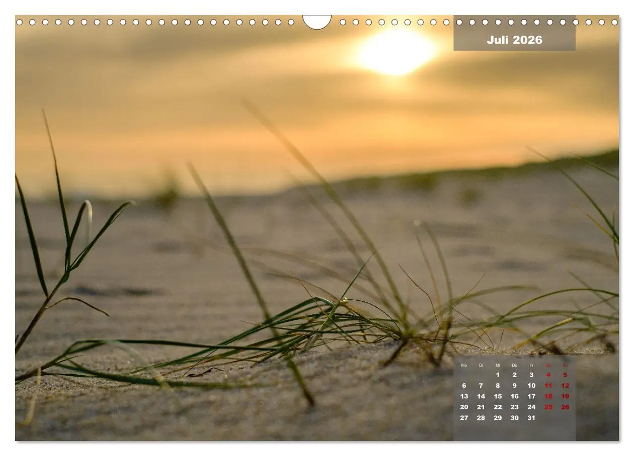 Bild: 9783457596951 | feeling Sylt (Wandkalender 2026 DIN A3 quer), CALVENDO Monatskalender