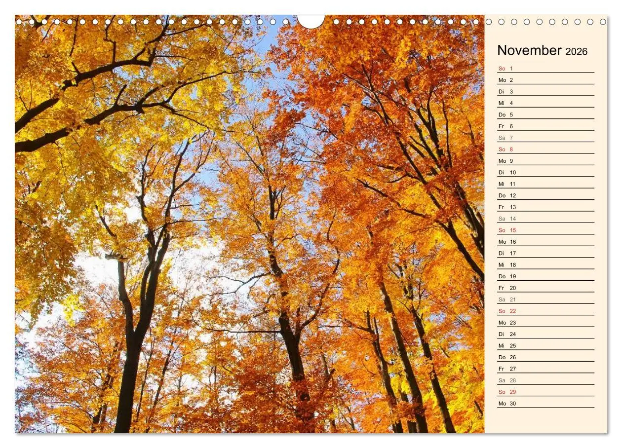 Bild: 9783457976951 | Riesengebirge (Wandkalender 2026 DIN A3 quer), CALVENDO Monatskalender