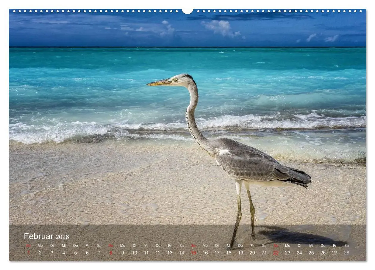 Bild: 9783516066951 | Malediven Impressionen aus dem Paradies (hochwertiger Premium...