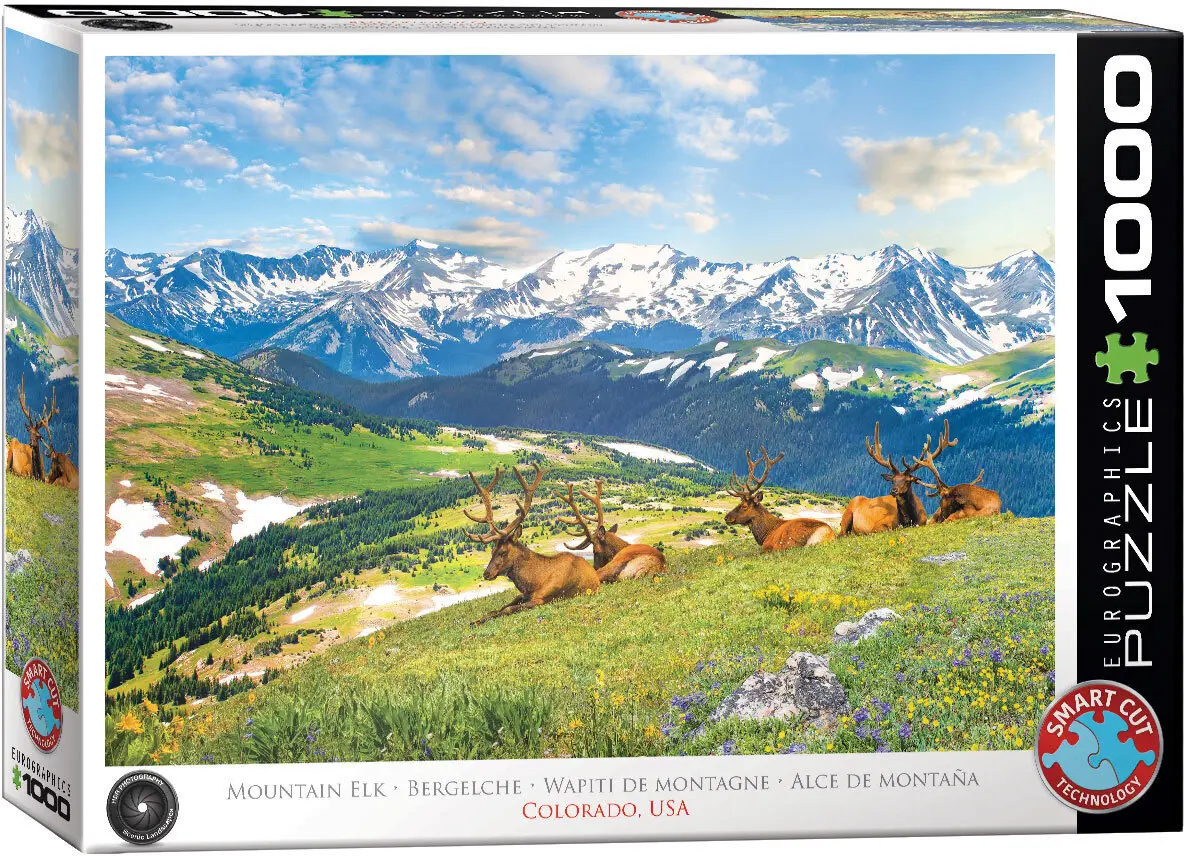 Cover: 628136657051 | Bergelche | Spiel | In Spielebox | 6000-5705 | Deutsch | 2024