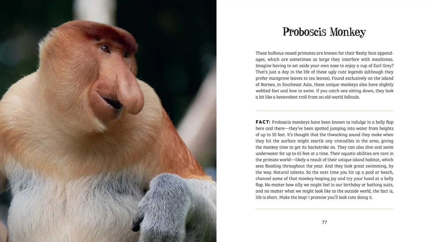 Bild: 9780008527051 | Ugly-Cute | What Misunderstood Animals Can Teach Us about Life | Buch