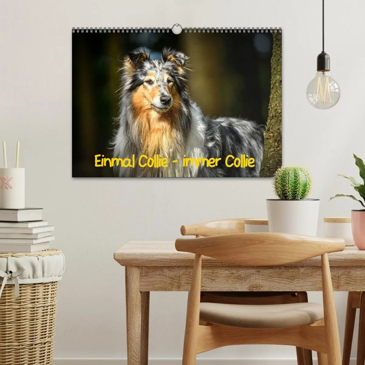 Bild: 9783457937051 | Einmal Collie - immer Collie (Wandkalender 2026 DIN A3 quer),...