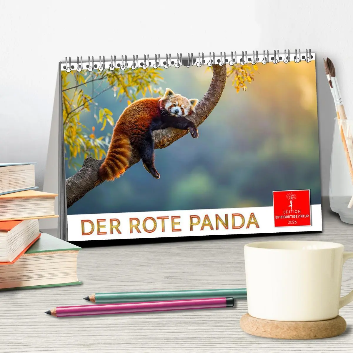Bild: 9783457397251 | Der Rote Panda (Tischkalender 2026 DIN A5 quer), CALVENDO...