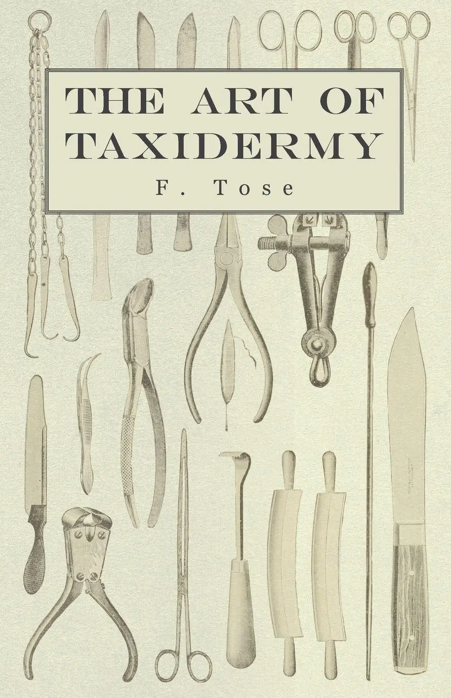 Cover: 9781406787351 | The Art of Taxidermy | F. Tose | Taschenbuch | Kartoniert / Broschiert