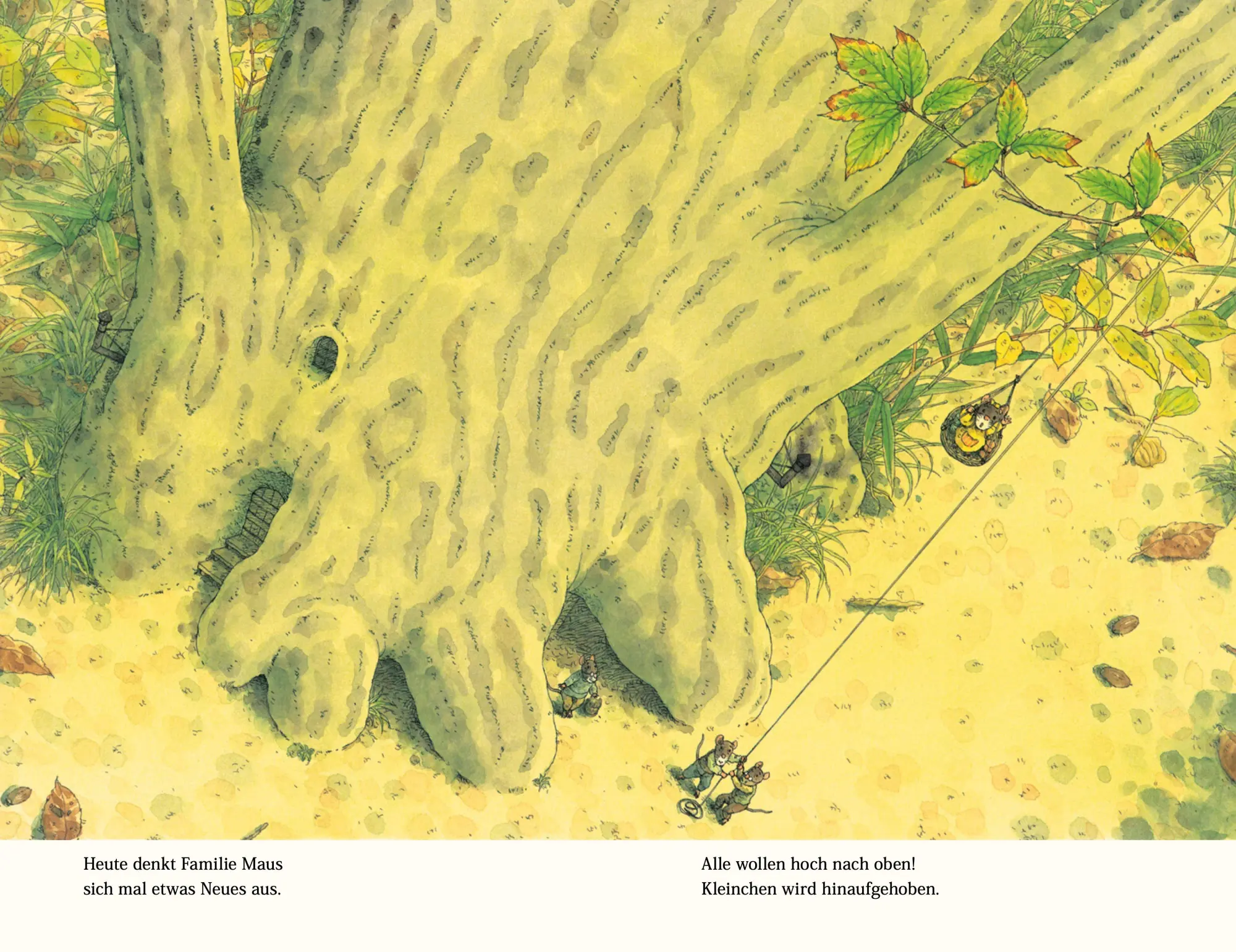 Bild: 9783314107351 | Familie Maus im Mondschein | Rose Pflock | Buch | Familie Maus | 40 S.