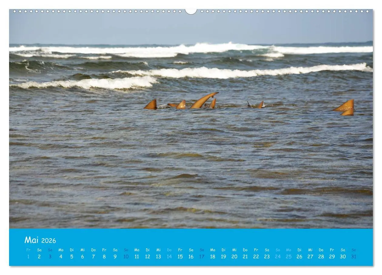 Bild: 9783457697351 | Cabo verde Inselgeflüster - Ilha do Sal (hochwertiger Premium...