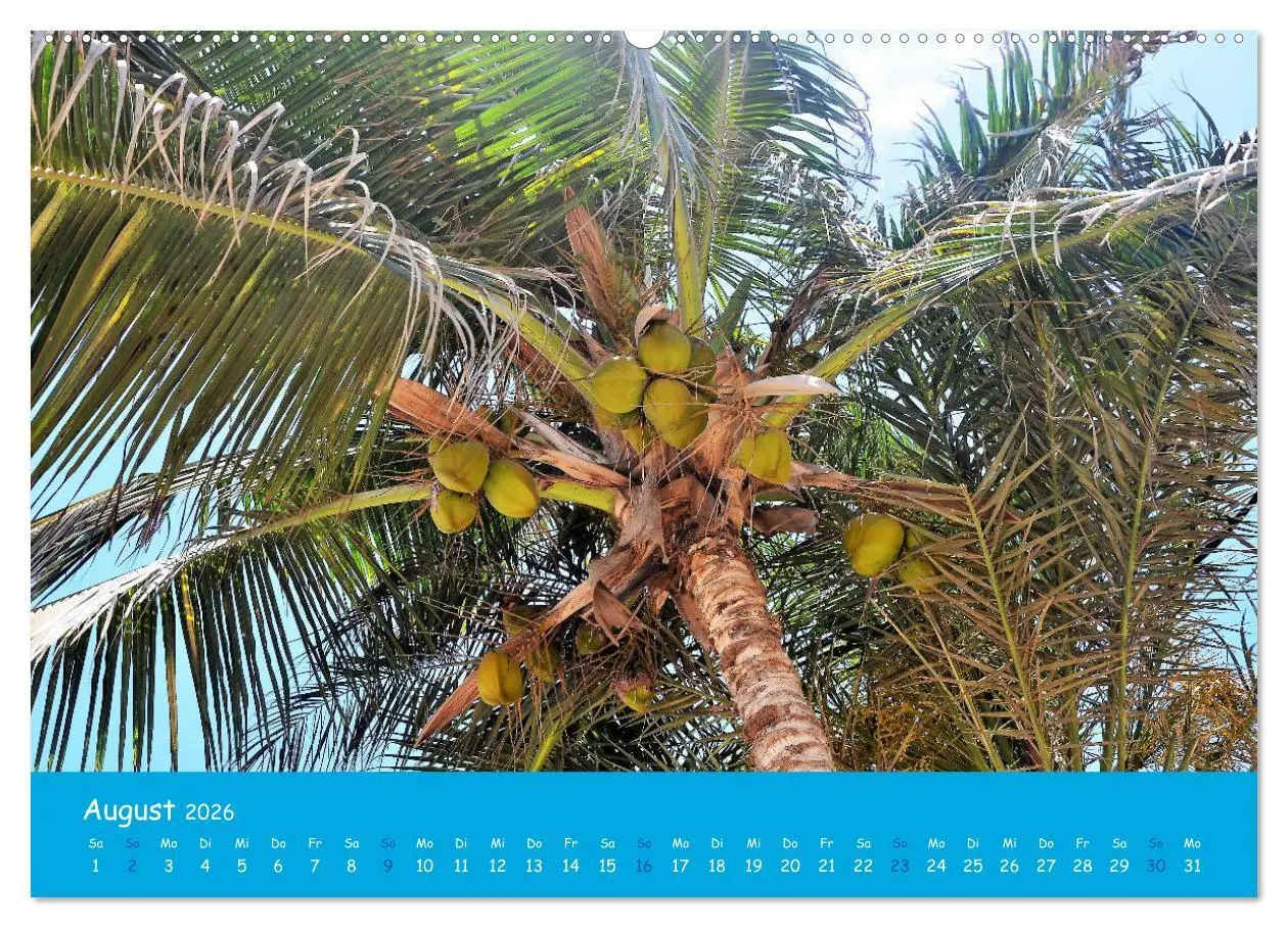 Bild: 9783457697351 | Cabo verde Inselgeflüster - Ilha do Sal (hochwertiger Premium...