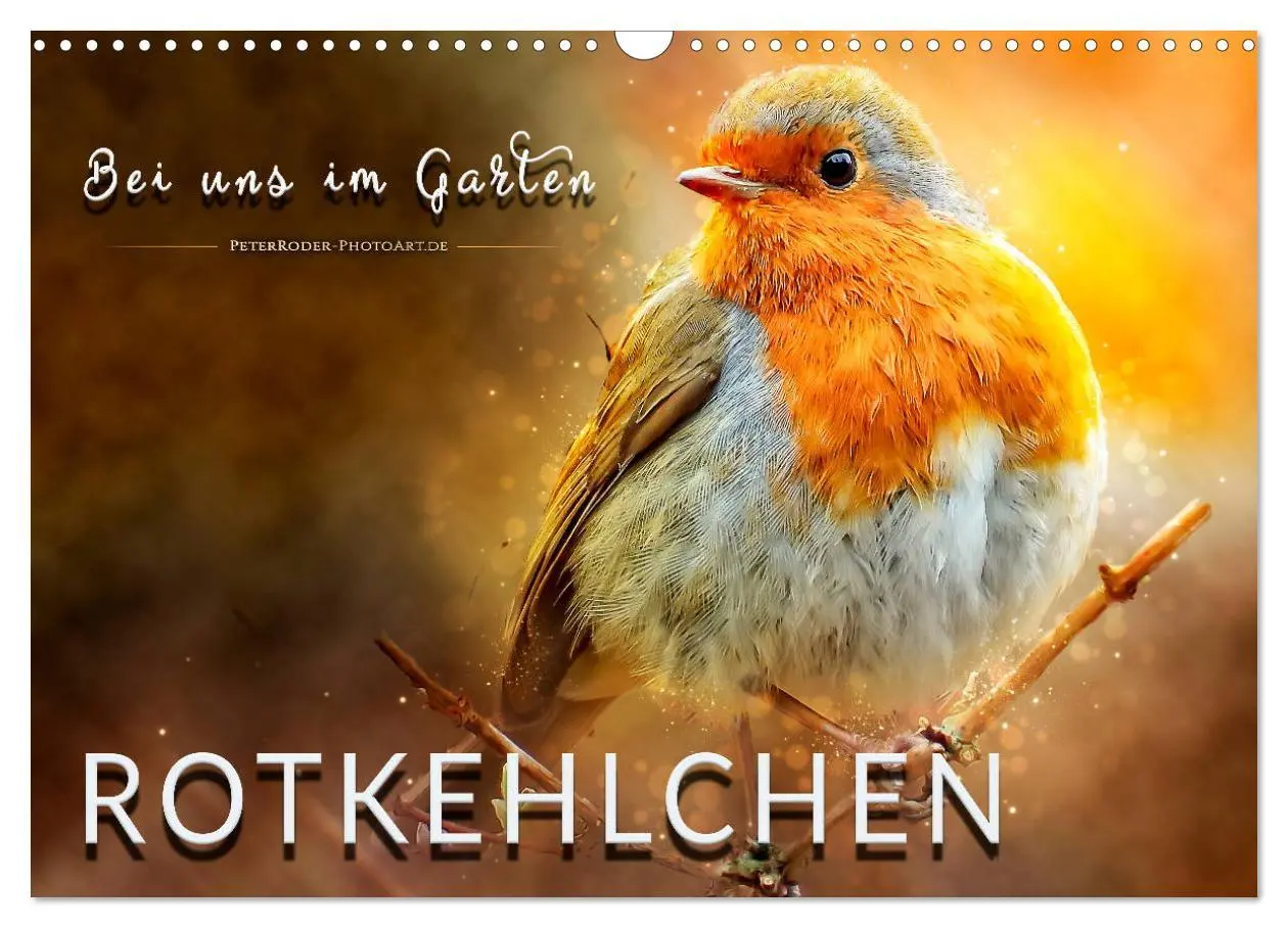 Cover: 9783457837351 | Bei uns im Garten - Rotkehlchen (Wandkalender 2026 DIN A3 quer),...