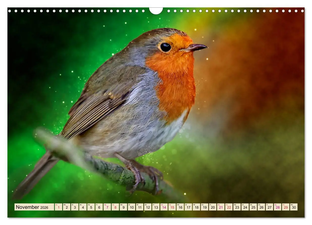 Bild: 9783457837351 | Bei uns im Garten - Rotkehlchen (Wandkalender 2026 DIN A3 quer),...