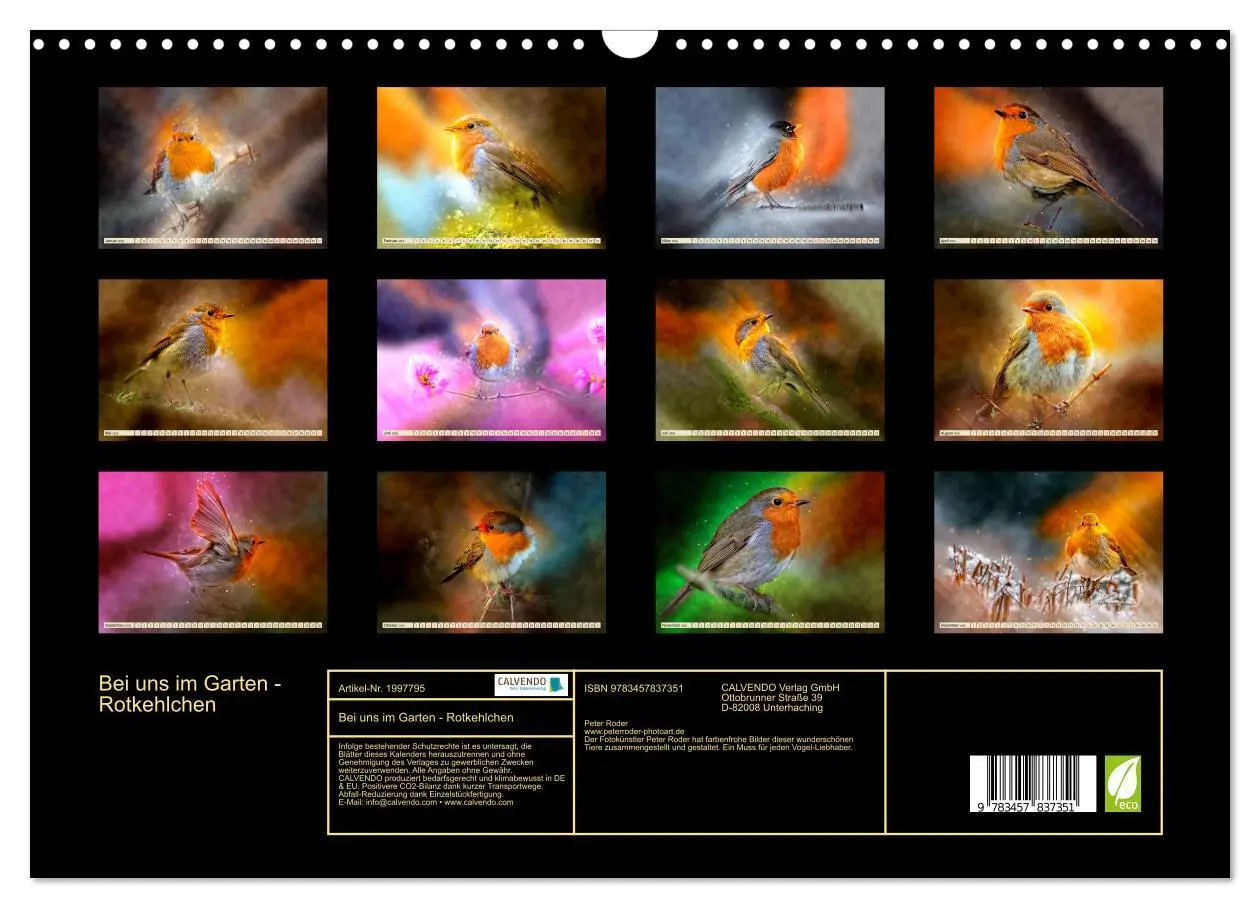 Bild: 9783457837351 | Bei uns im Garten - Rotkehlchen (Wandkalender 2026 DIN A3 quer),...