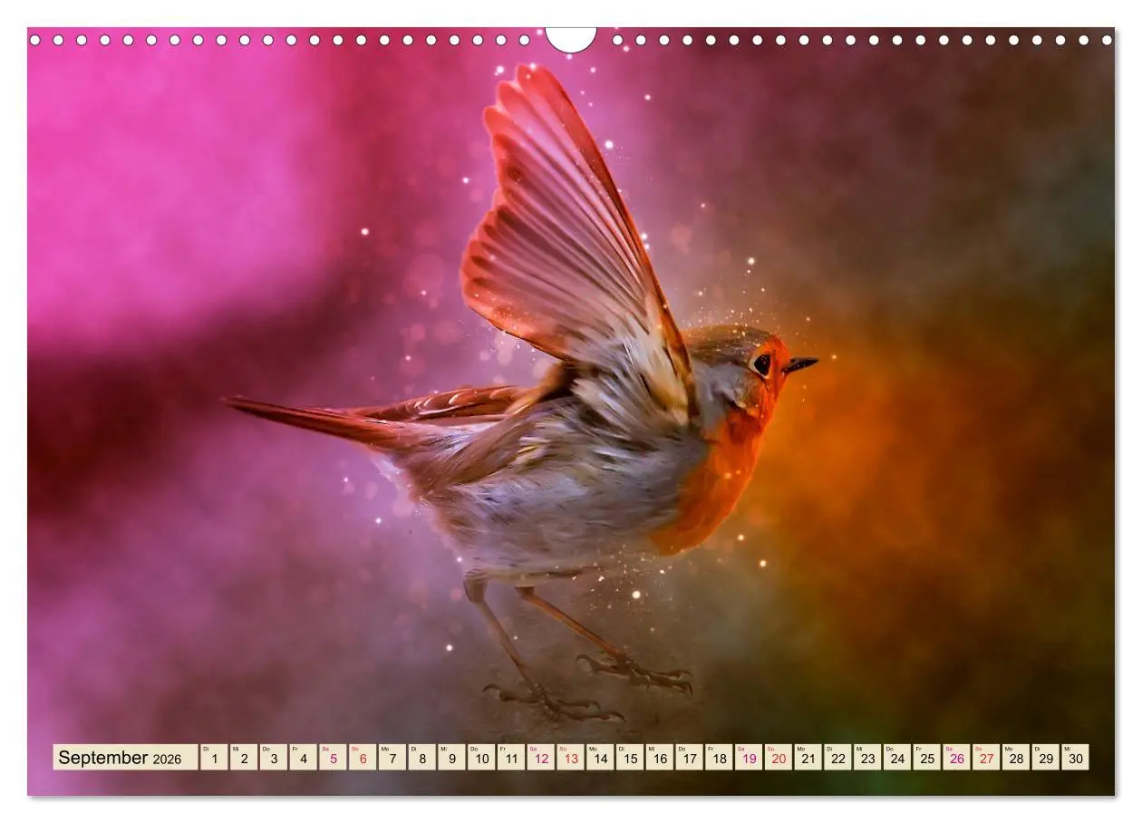 Bild: 9783457837351 | Bei uns im Garten - Rotkehlchen (Wandkalender 2026 DIN A3 quer),...