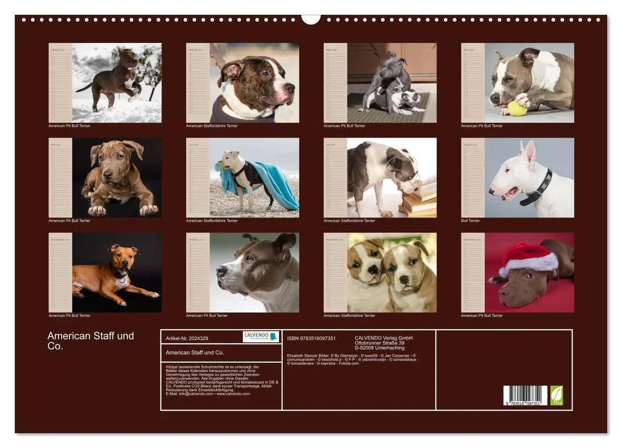 Bild: 9783516097351 | American Staff und Co. (Wandkalender 2026 DIN A2 quer), CALVENDO...