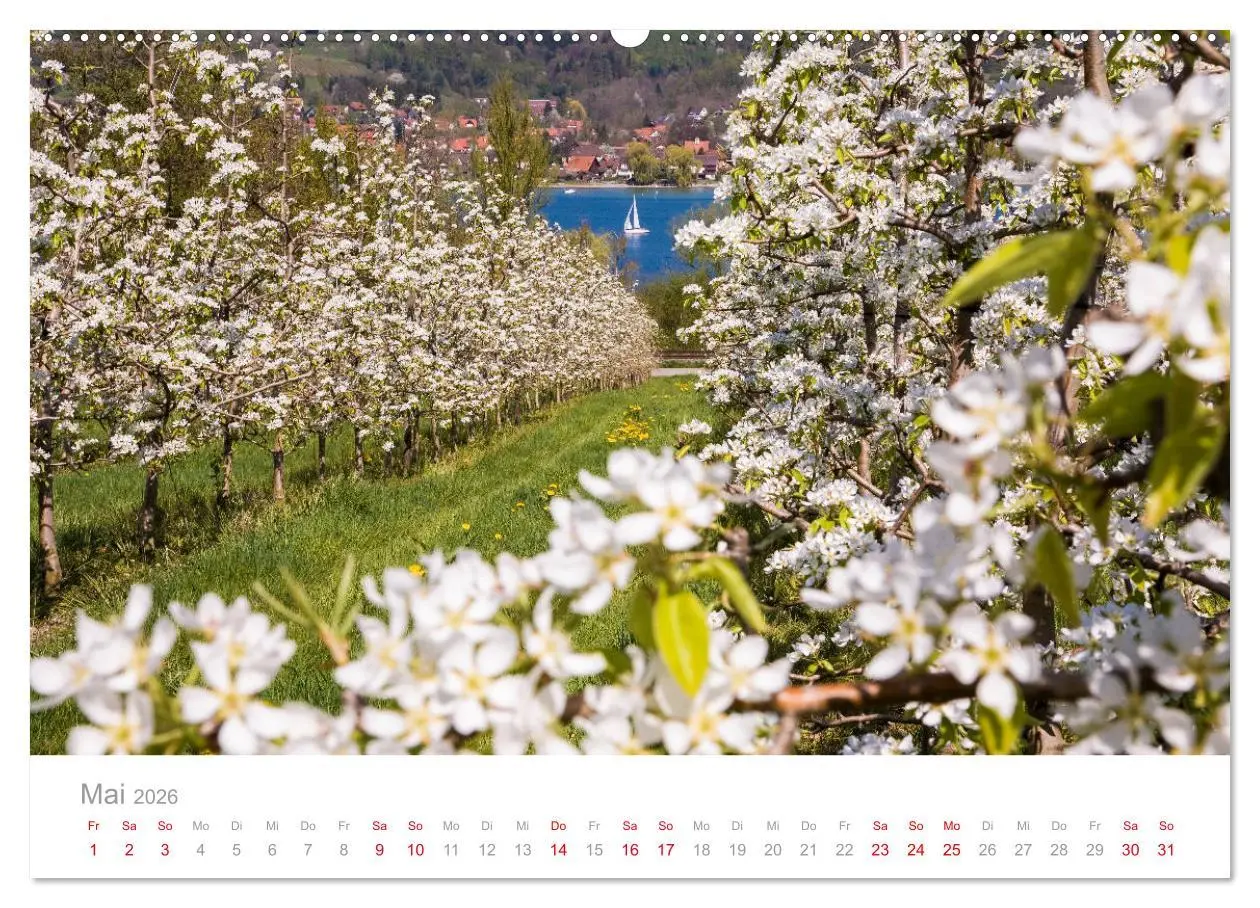 Bild: 9783457687451 | BODENSEE Drei Länder - ein See (hochwertiger Premium Wandkalender...