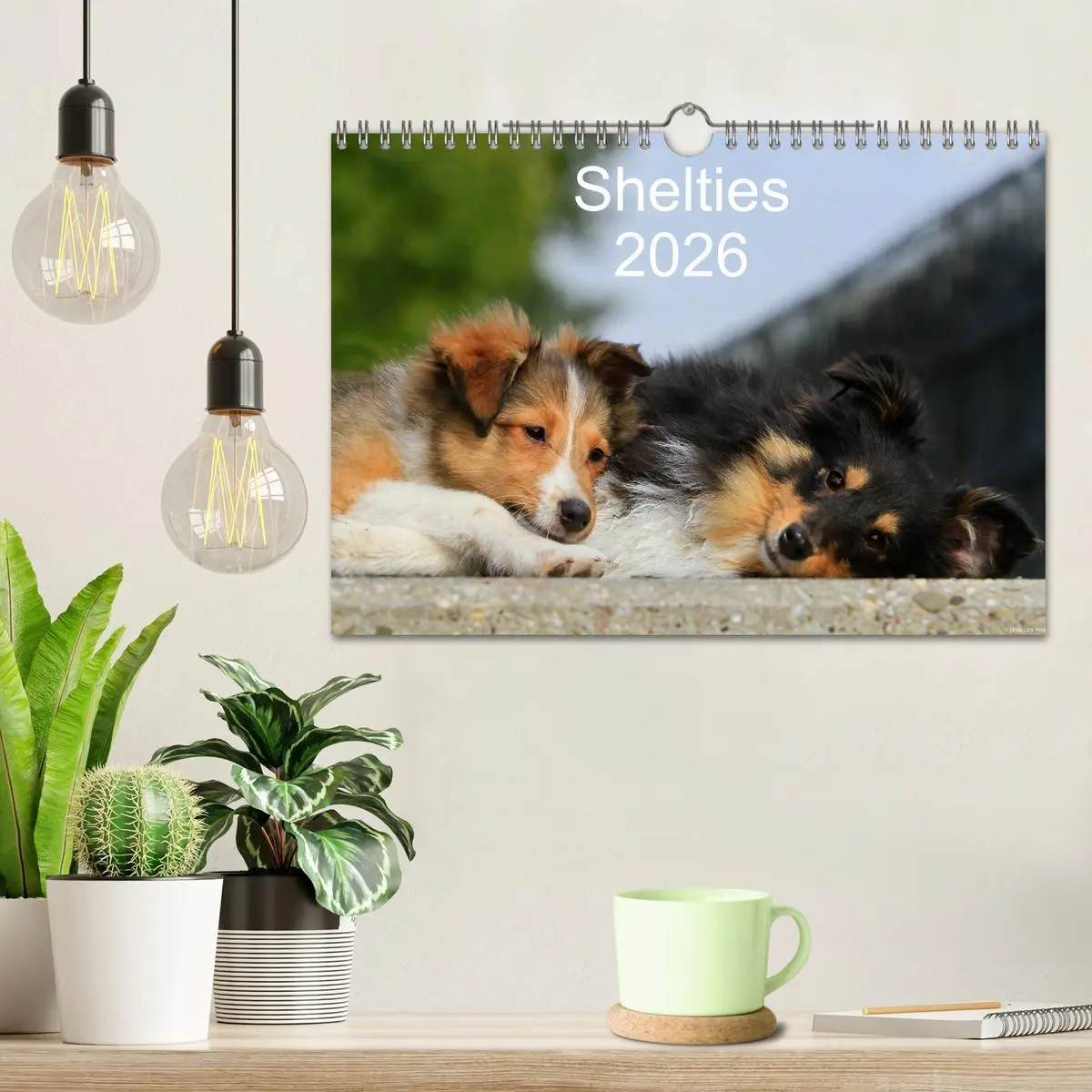Bild: 9783516157451 | Shelties 2026 (Wandkalender 2026 DIN A4 quer), CALVENDO Monatskalender