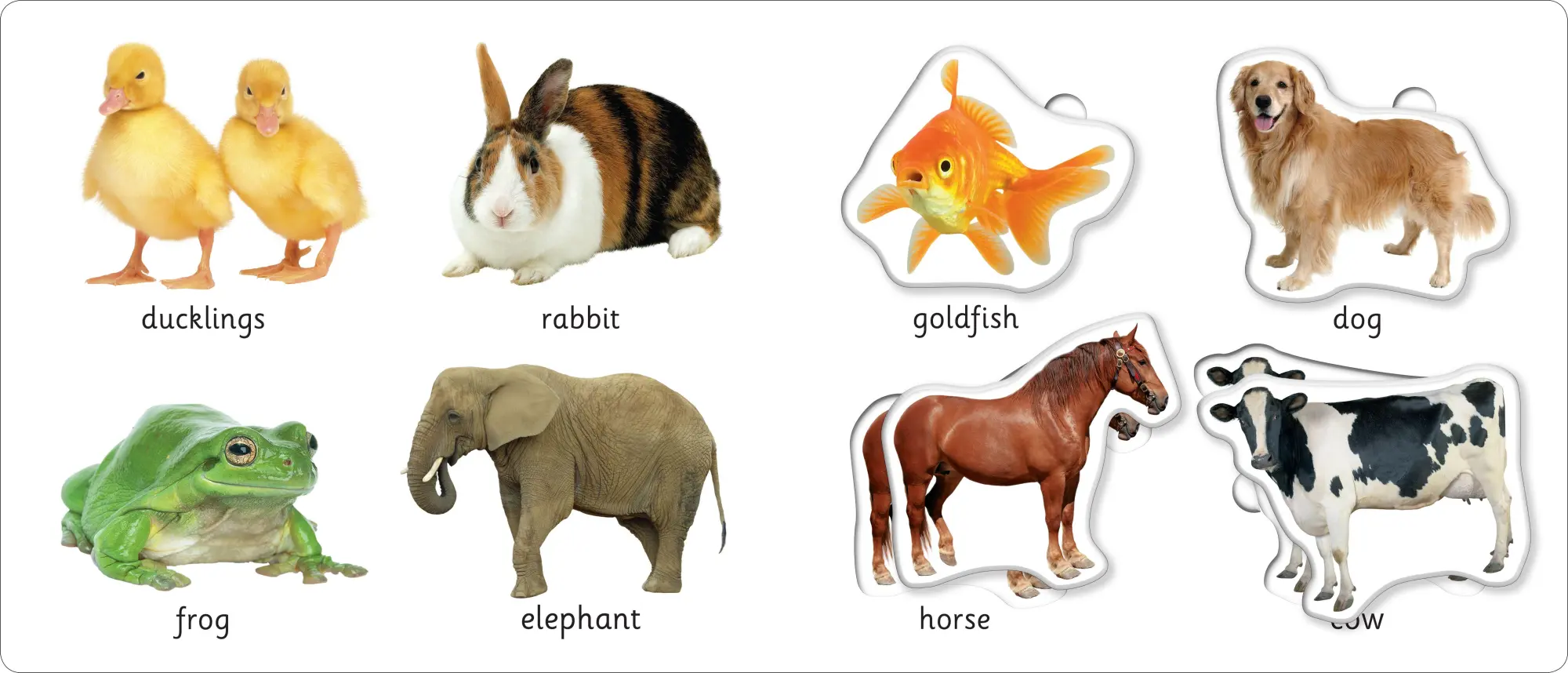 Bild: 9781783417551 | First Learning Play Set: Animals | Priddy Books (u. a.) | Buch | 2018