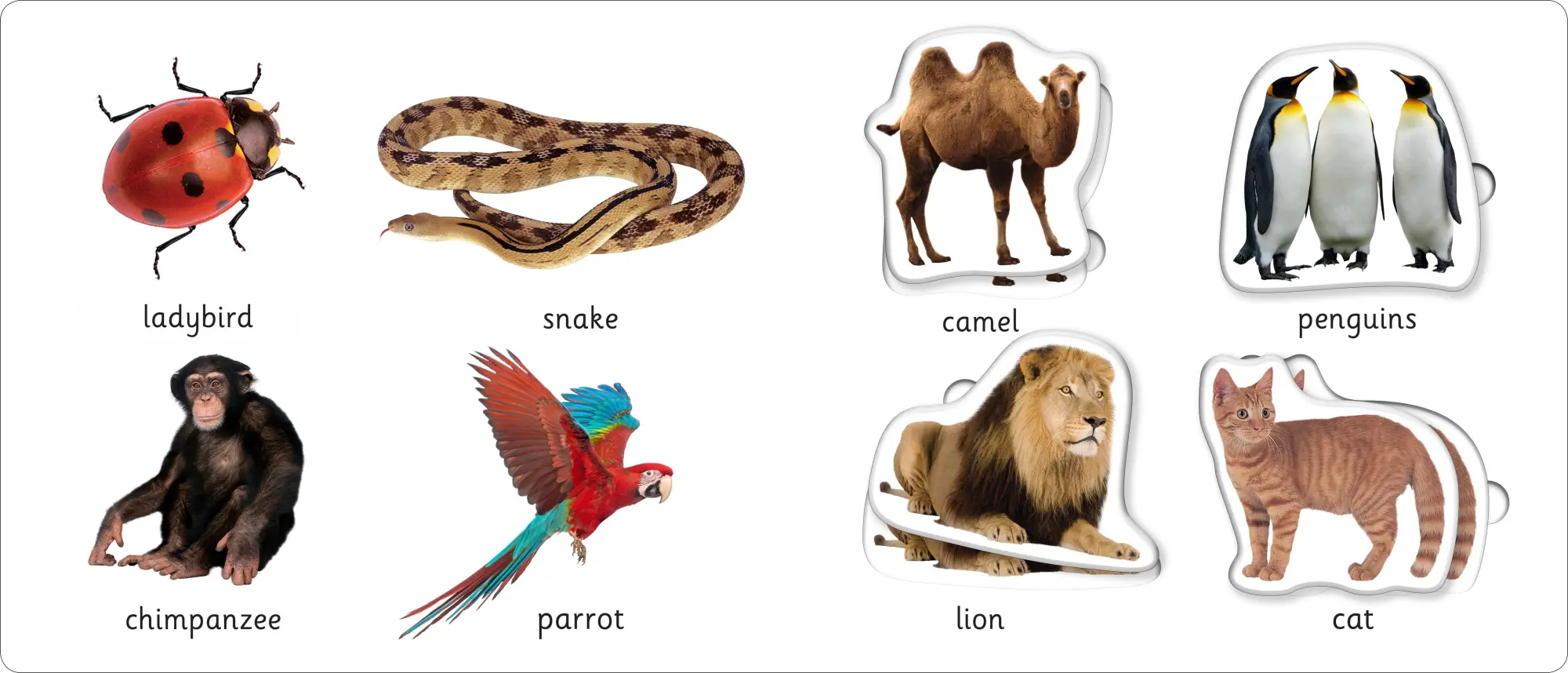 Bild: 9781783417551 | First Learning Play Set: Animals | Priddy Books (u. a.) | Buch | 2018