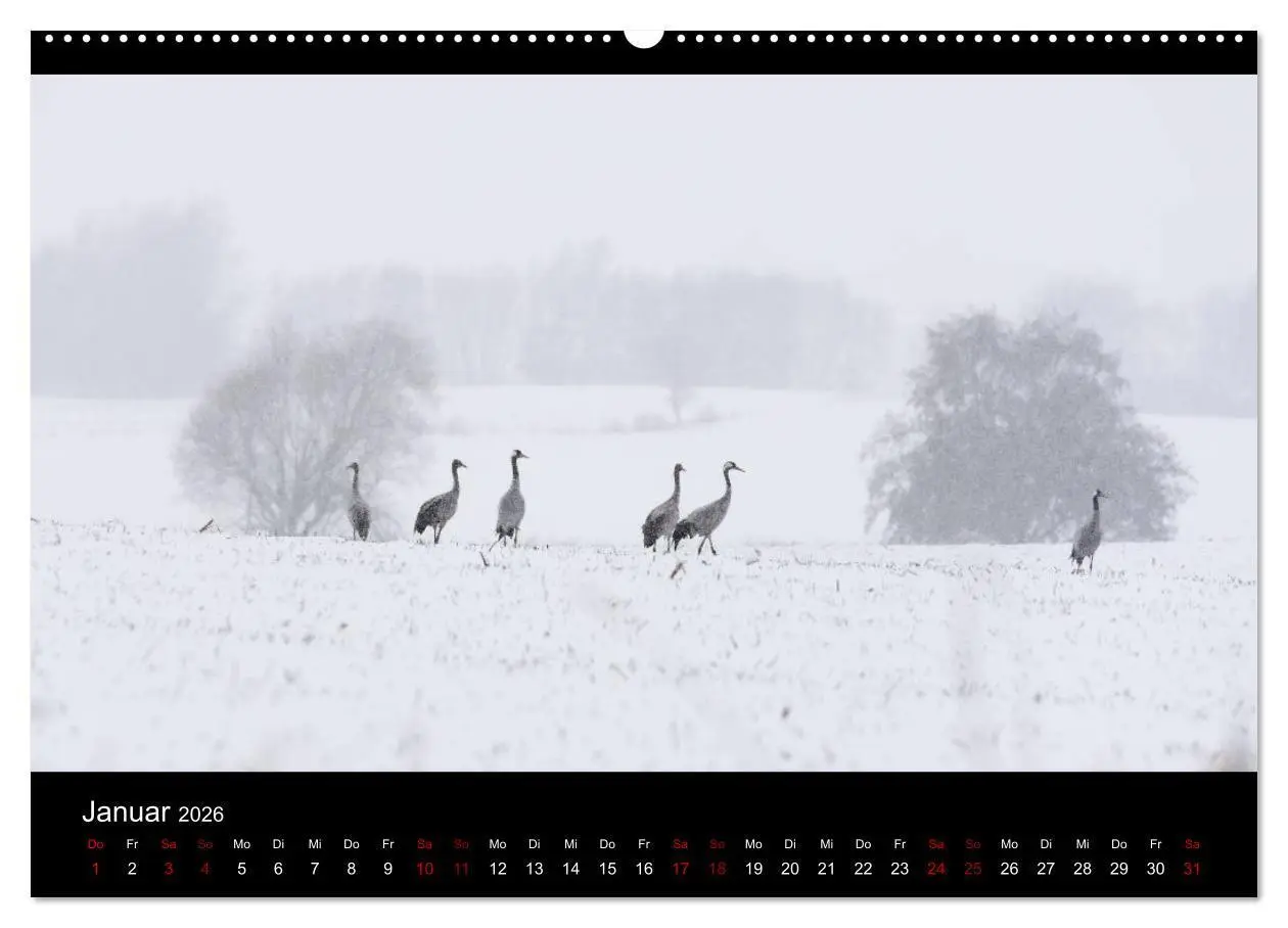 Bild: 9783457747551 | Naturwunder Norddeutschlands (hochwertiger Premium Wandkalender...