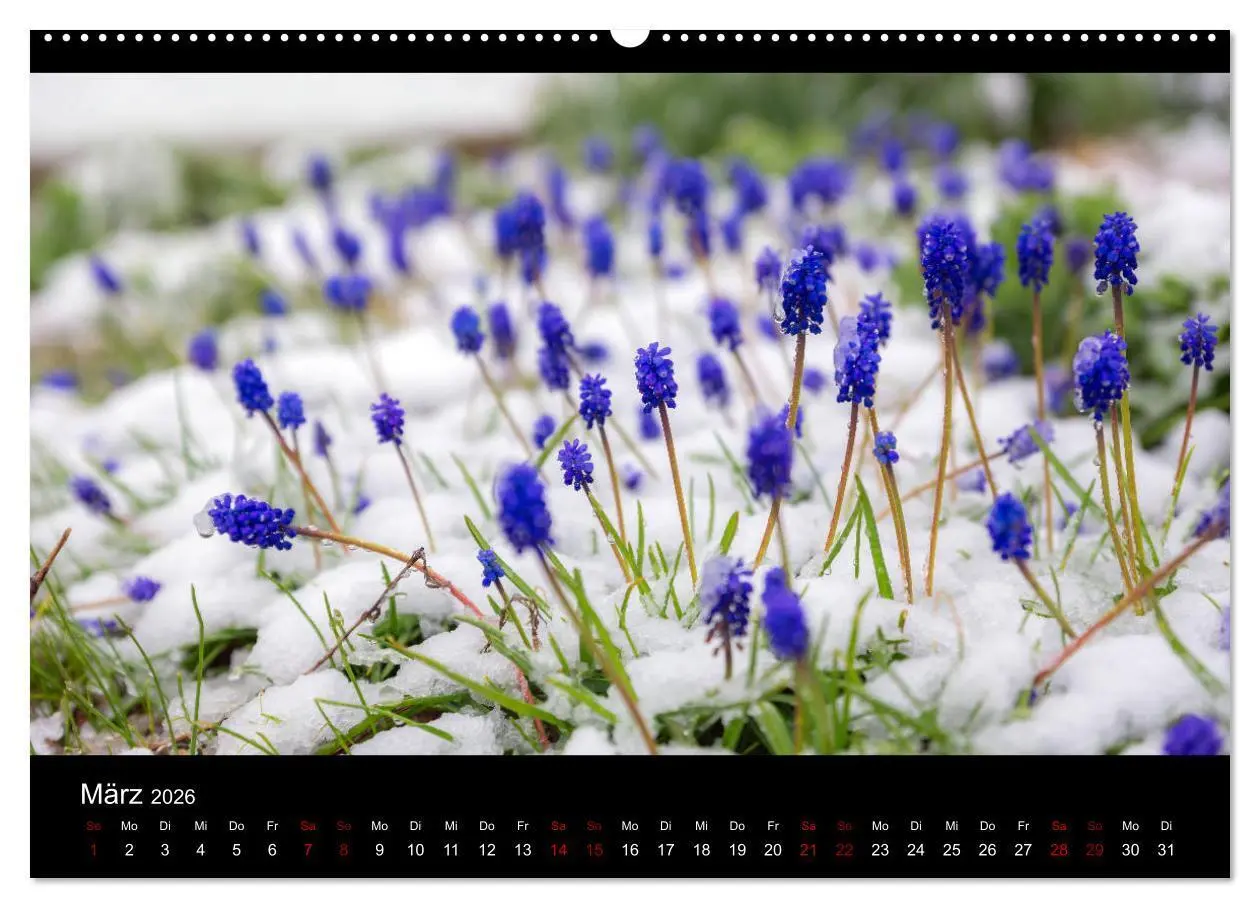 Bild: 9783457747551 | Naturwunder Norddeutschlands (hochwertiger Premium Wandkalender...