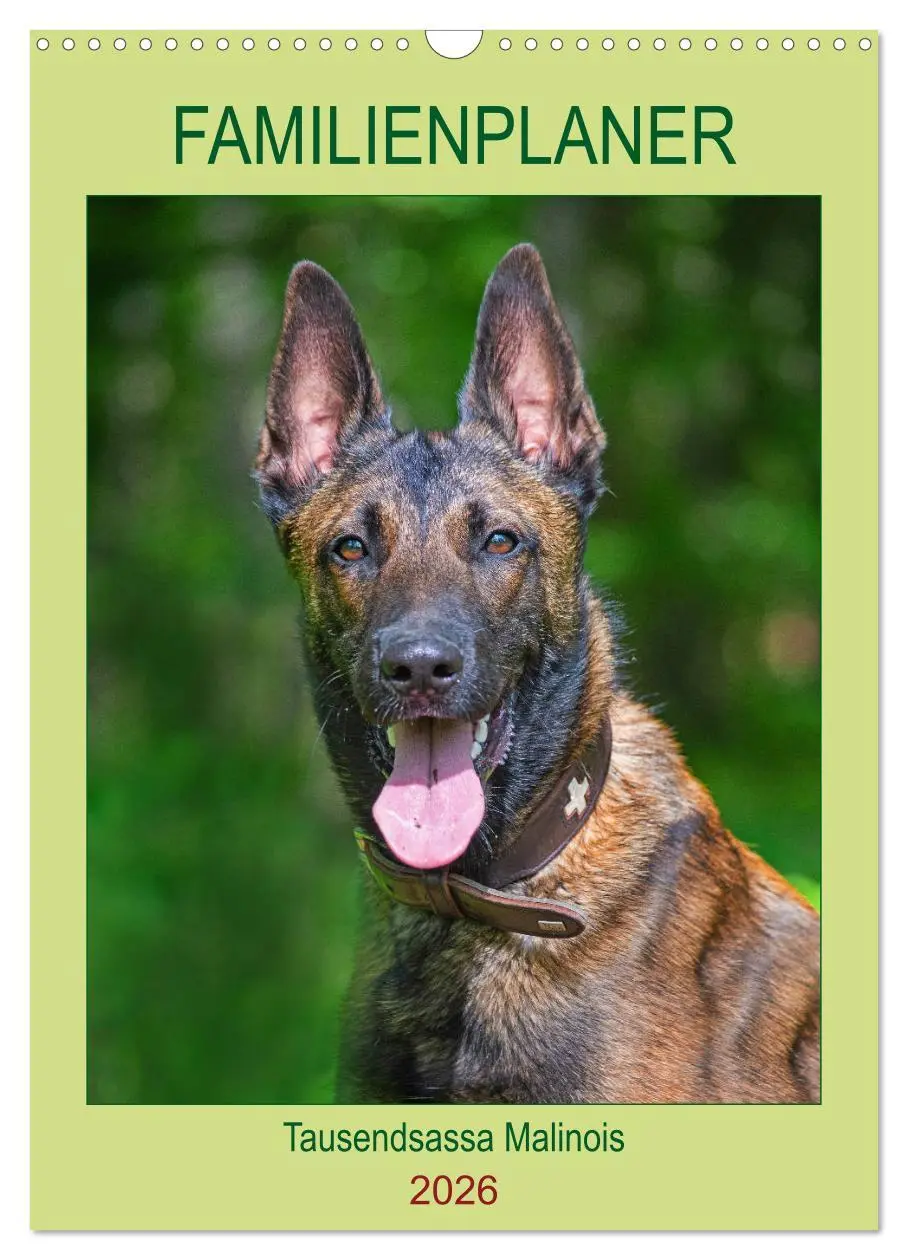 Cover: 9783516387551 | Familienplaner Tausendsassa Malinois (Wandkalender 2026 DIN A3...